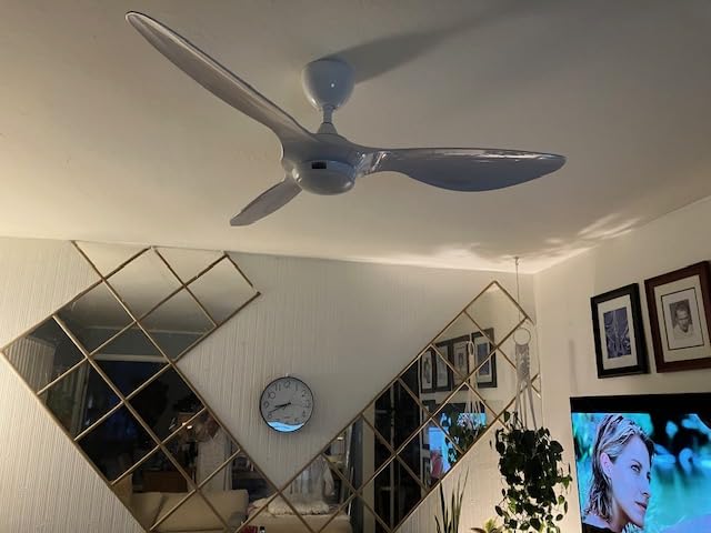 reiga 52 Inch ETL Listed High CFM Quiet DC Motor Smart Ceiling Fans with Lights Remote Control, Indoor 3 Blade Modern Ceiling Fan for Living Room Bedroom customer photo 2