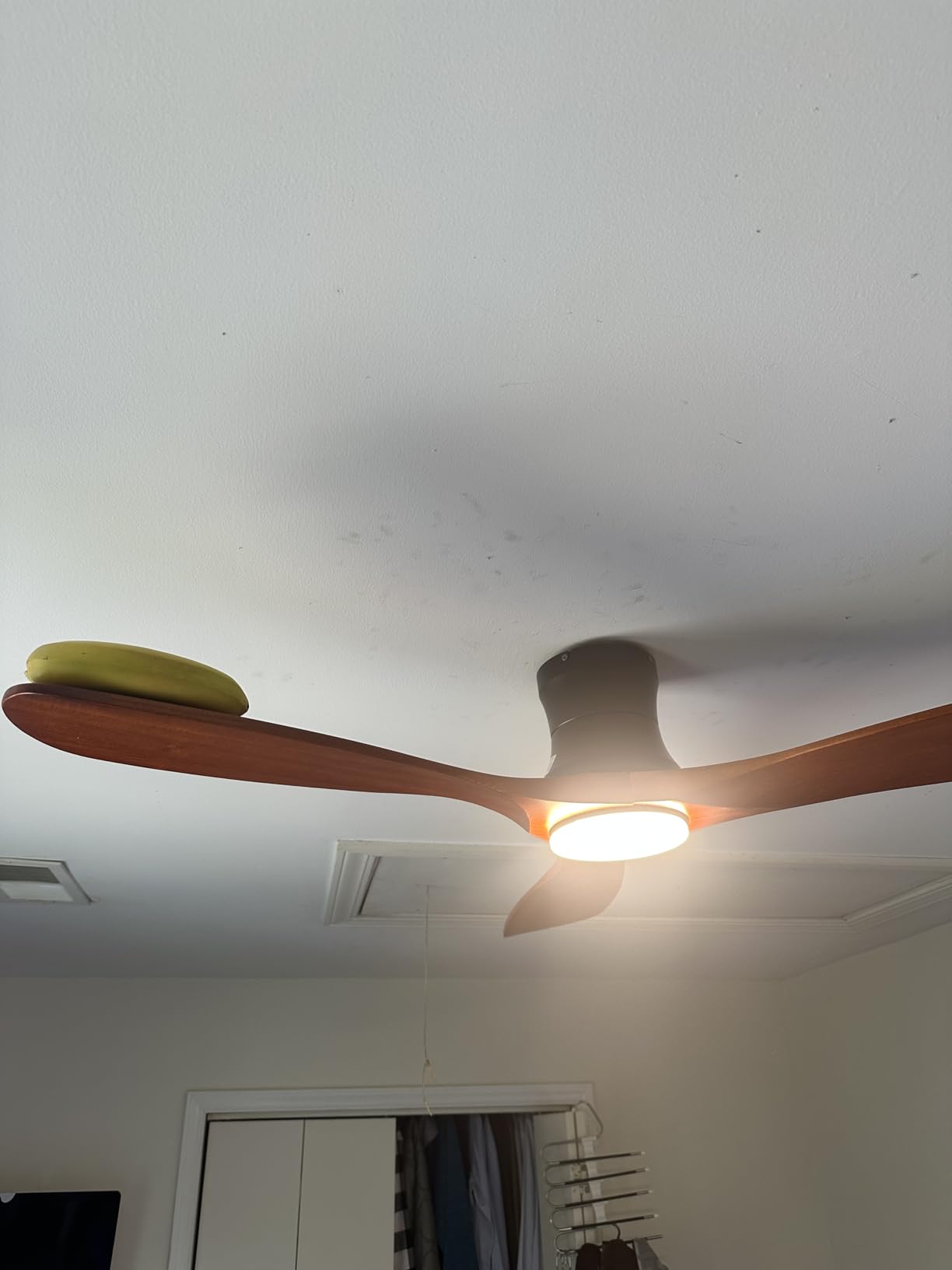 52 Smart Low Profile Ceiling Fans with Lights Remote, 3 Wood blade, Quiet DC Motor, Outdoor Indoor Flush Mount Ceiling Fan, Voice Control via WIFI Alexa App, Modern Lighting & Ceiling fan for Bedroom Patio customer photo 1