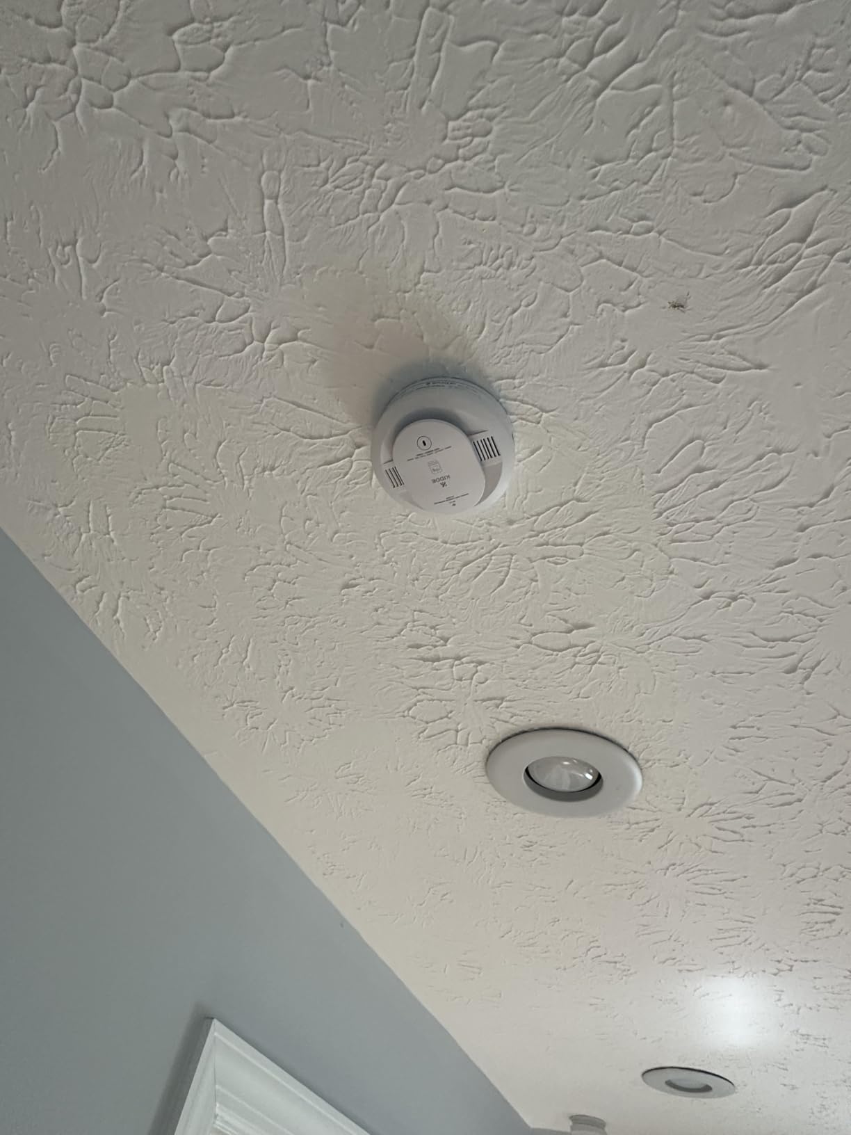 Kidde Smart Smoke and Carbon Monoxide Detector, Ring App Enabled for Real-Time Notifications, Wire-Free Interconnectivity, AA Battery Powered customer photo 1